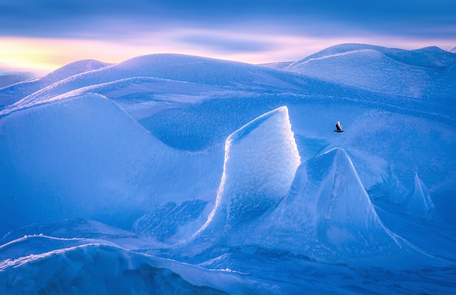 唐朝杜甫绝句,唐代诗人杜甫的经典名句
