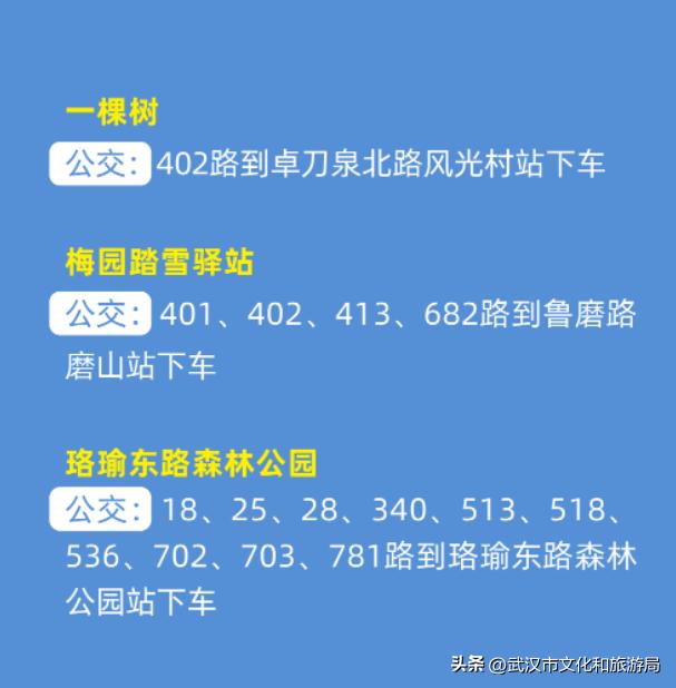 游东湖攻略路线图,游东湖最好的路线是