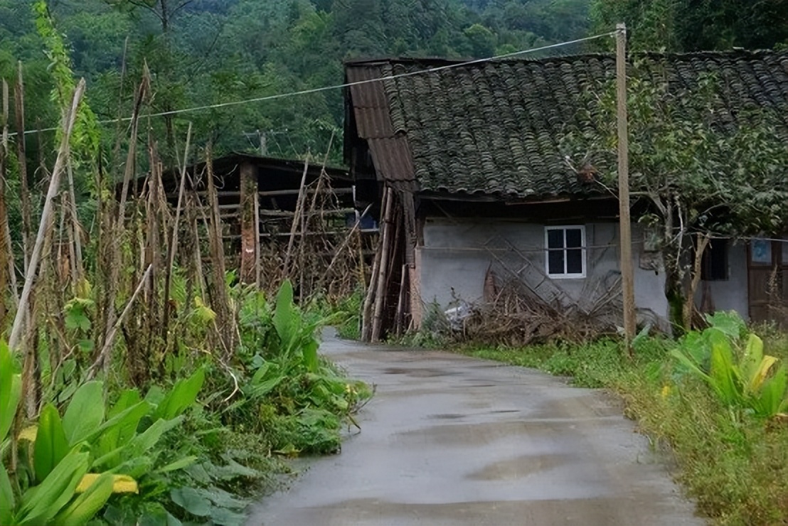 女大学生抱怨父母偷喝矿泉水,女大学生买了一箱矿泉水