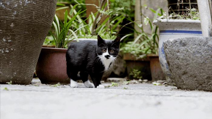 一种境界一种胸怀,独处的唯美境界