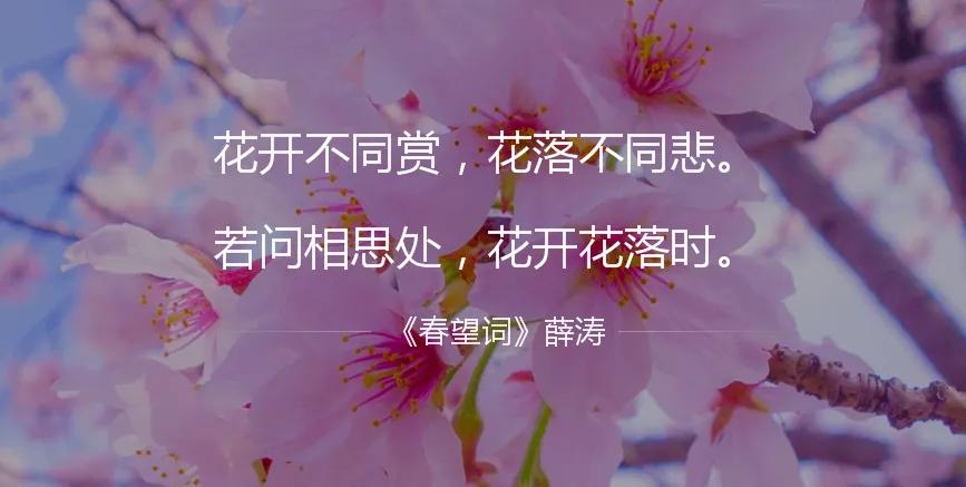 要明白什么才是正宗的普洱,一款好的普洱应该具备怎样的特点