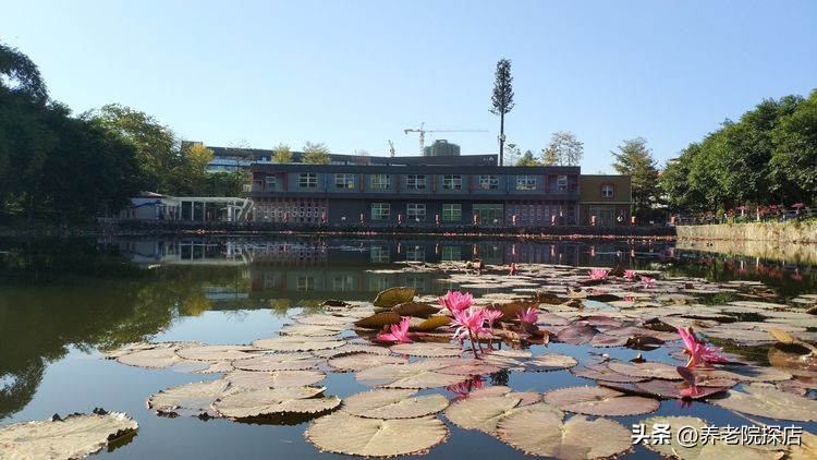 岭南养生谷养老院有钢琴班吗,岭南养生谷养老基地