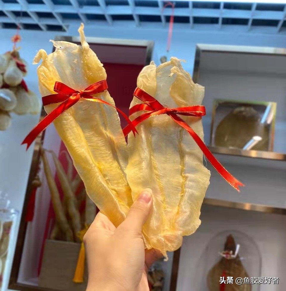 带你了解更多的鱼胶知识,了解鱼胶知识的欢迎进来