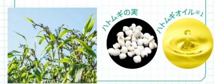 澳尔滨健康水日本专卖店,奥尔滨爽肤水和健康水哪个好