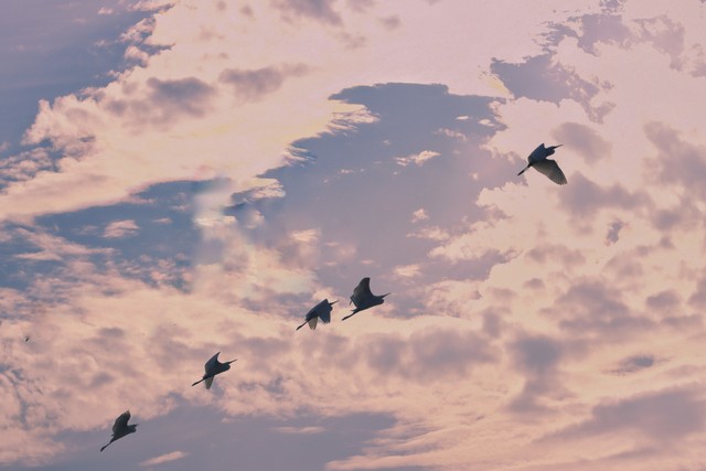 唐朝杜甫绝句,唐代诗人杜甫的经典名句