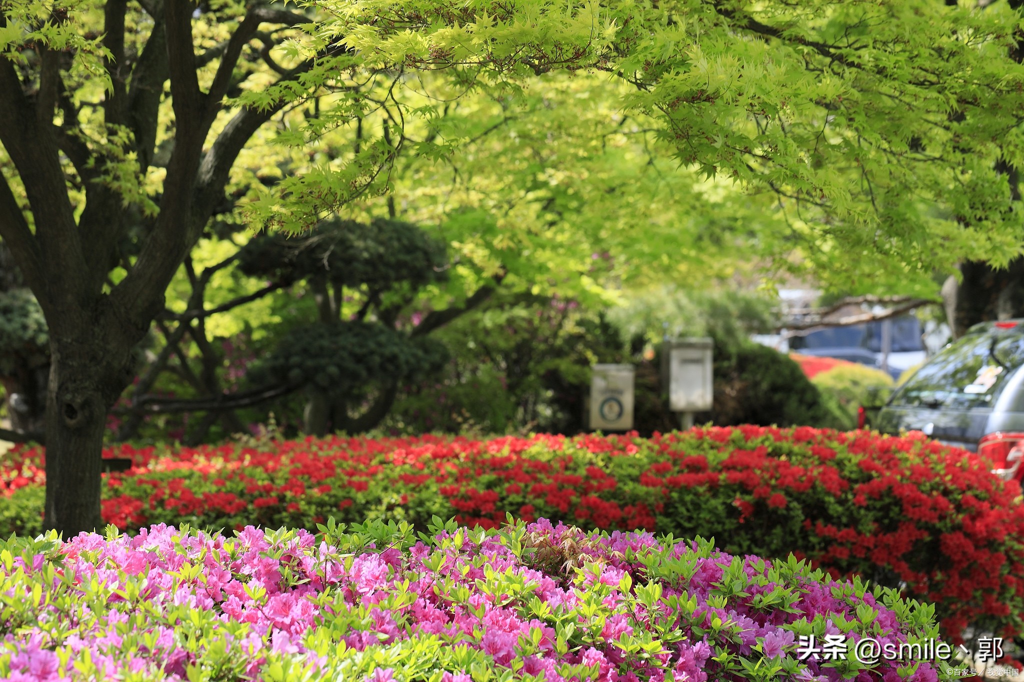 东方巴黎上海旅游攻略,上海欧式旅游攻略