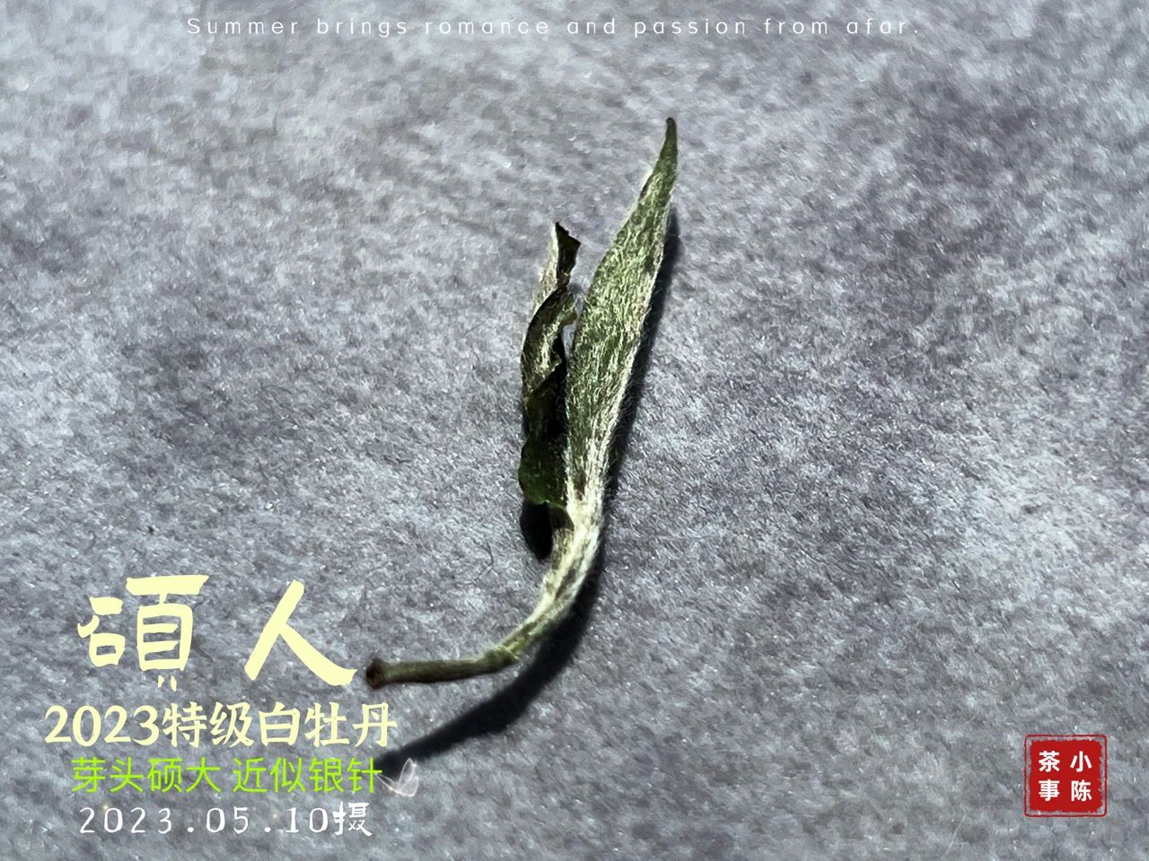 618买茶，建议你牢记“3点”，都是踩坑后的经验教训，很有用