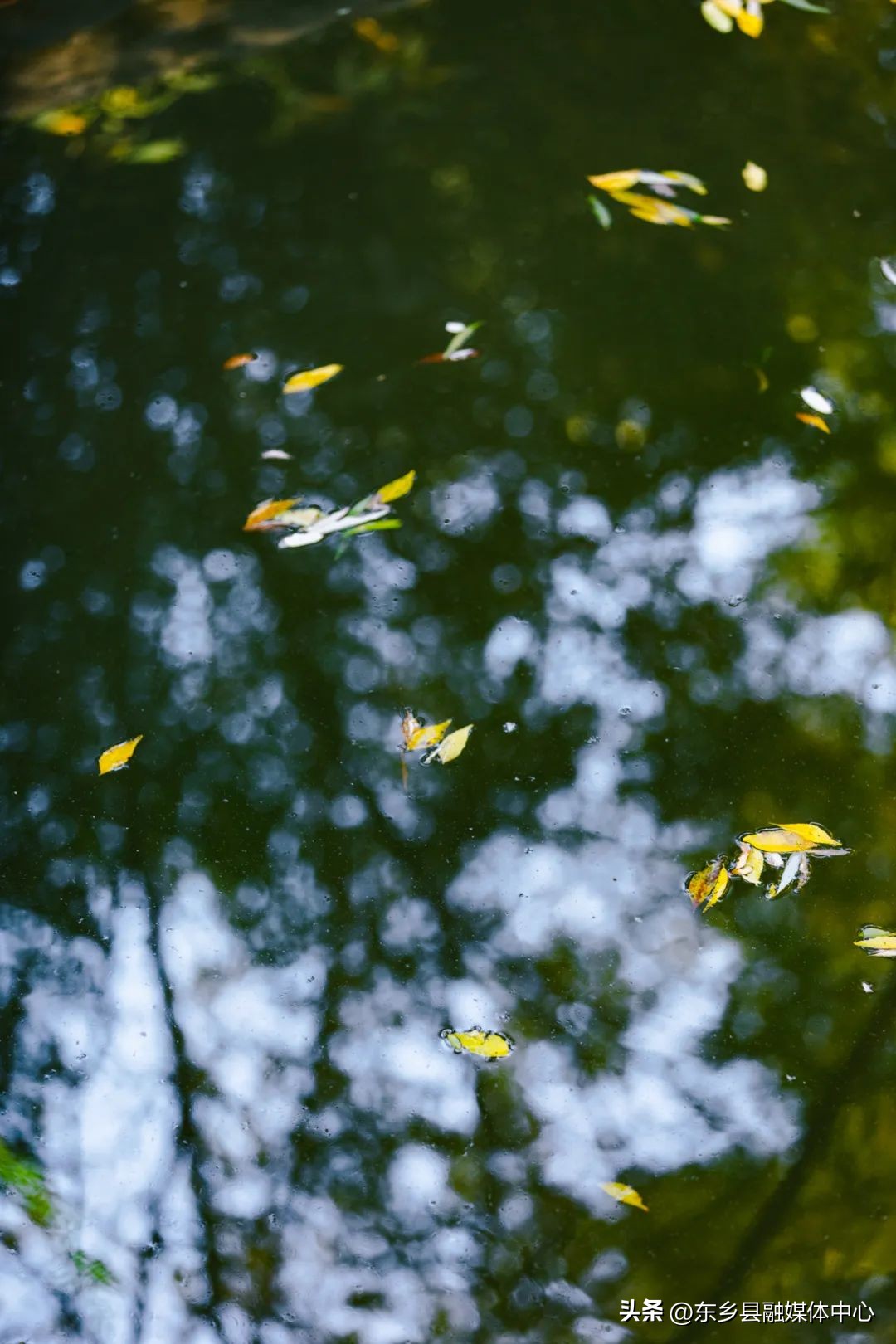 秋天丰收的雅称大全,秋天的雅称有哪几种