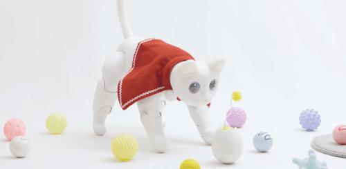 学生*党**的第一只机器猫，可以用来学代码