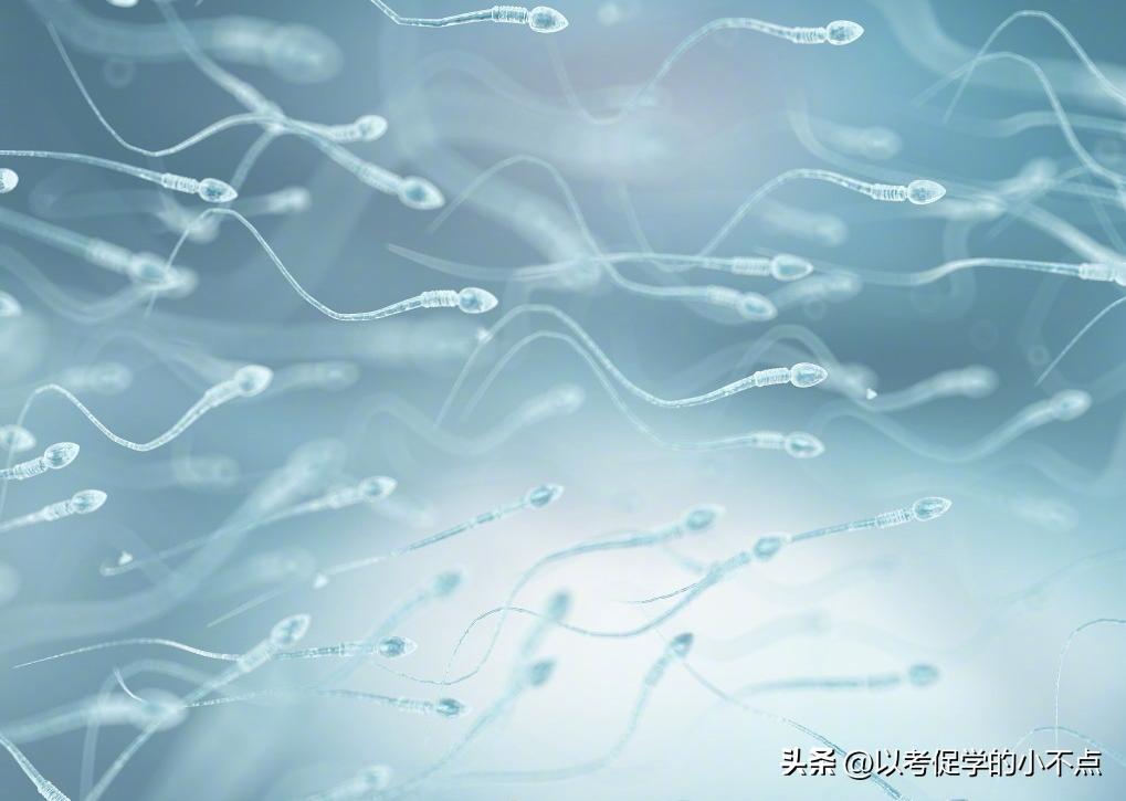 威胁人类的不仅仅是人口老龄化，还有男性精子质和量的急速下降