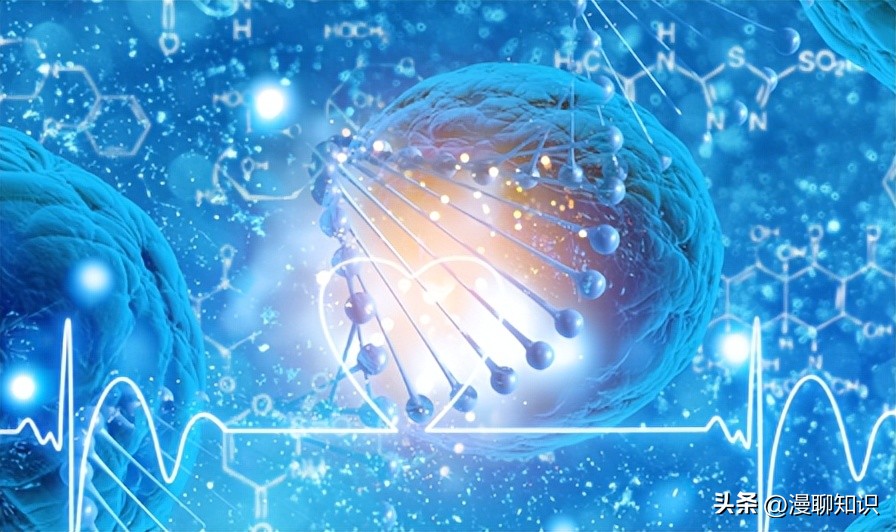 马疱疹病毒感染用什么治疗好,马病毒性疱疹