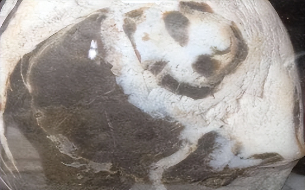 河沟捡熊猫奇石,捡到国宝熊猫奇石