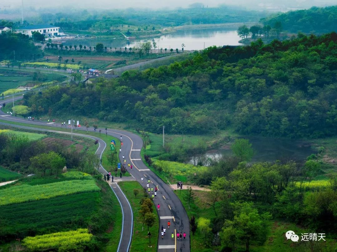 最美江宁四月天,我们只谈春暖花开,诗词歌赋,不聊红尘俗世