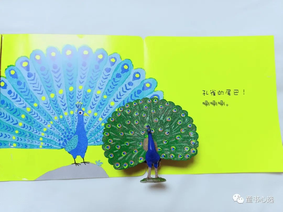 不知道怎么给宝宝做认识启蒙？这套趣味绘本值得给满分