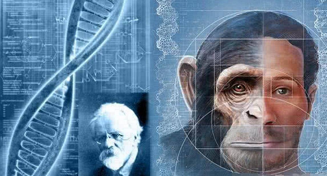 日本人兽杂交实验被允许，这是否违背伦理常纲？是创新还是灾难？