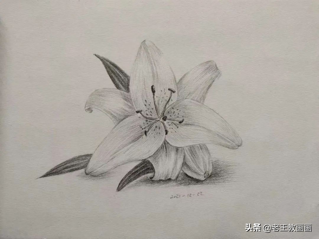 画画教程7-12岁画动漫人物新手,学画画三岁