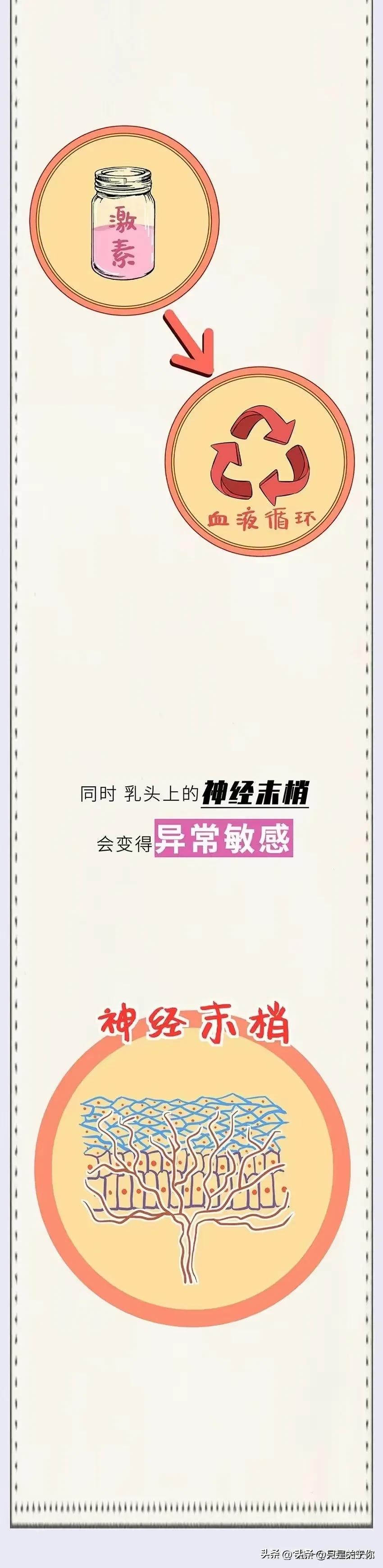 漫画女性成长,漫画女生青春期变化