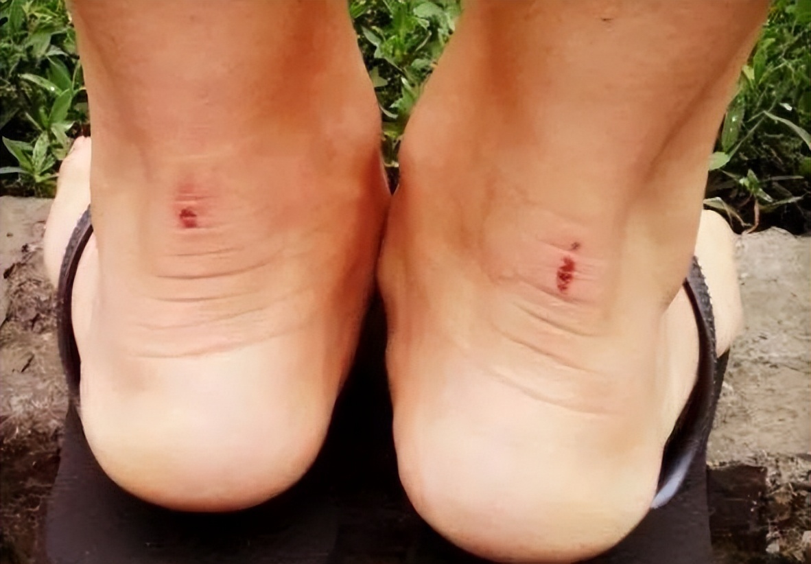 薄袜子男青少年大脚袜,袜子大脚男袜