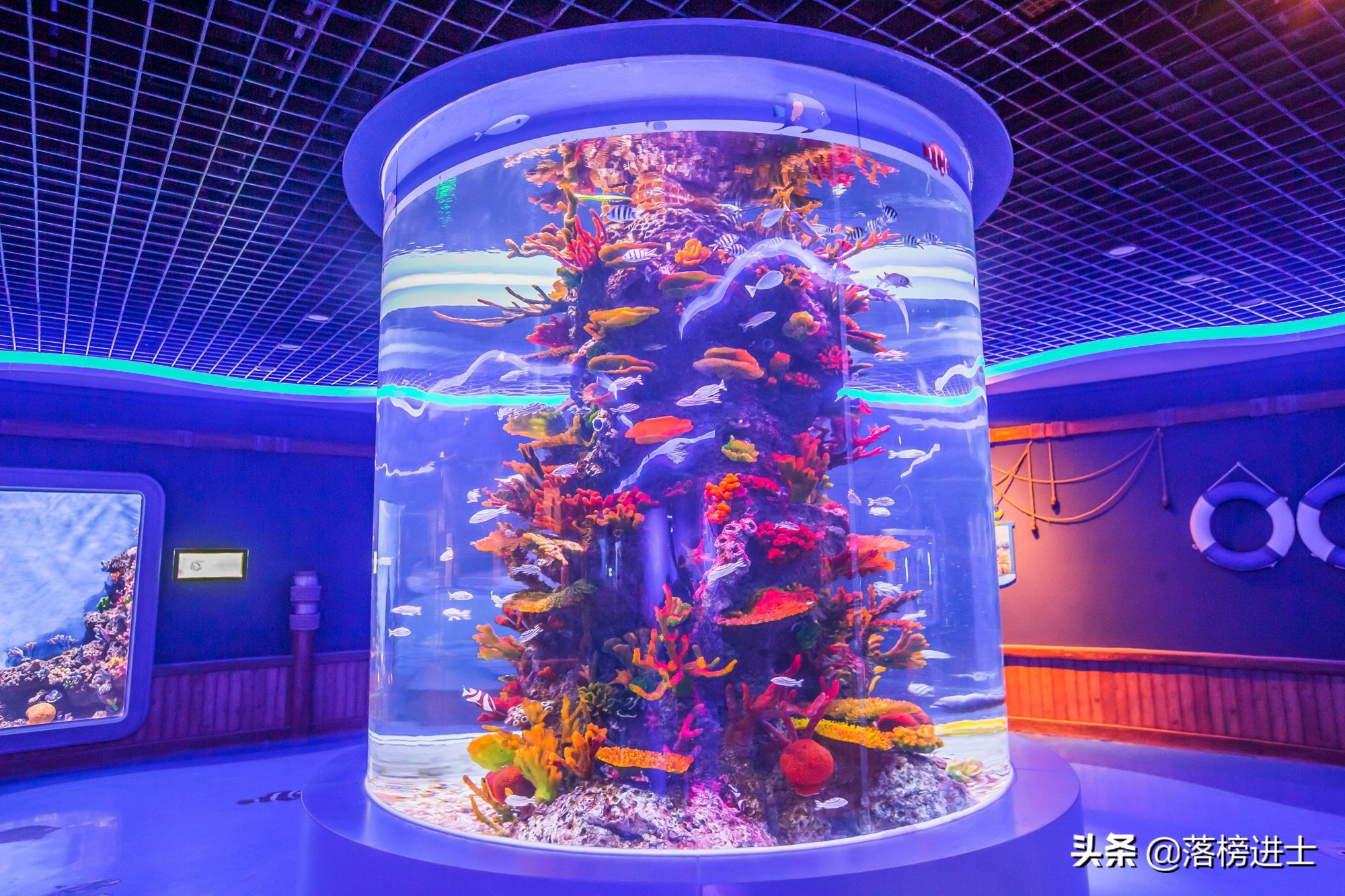 石家庄极地海洋世界从哪个门进,石家庄极地海洋世界内部视频