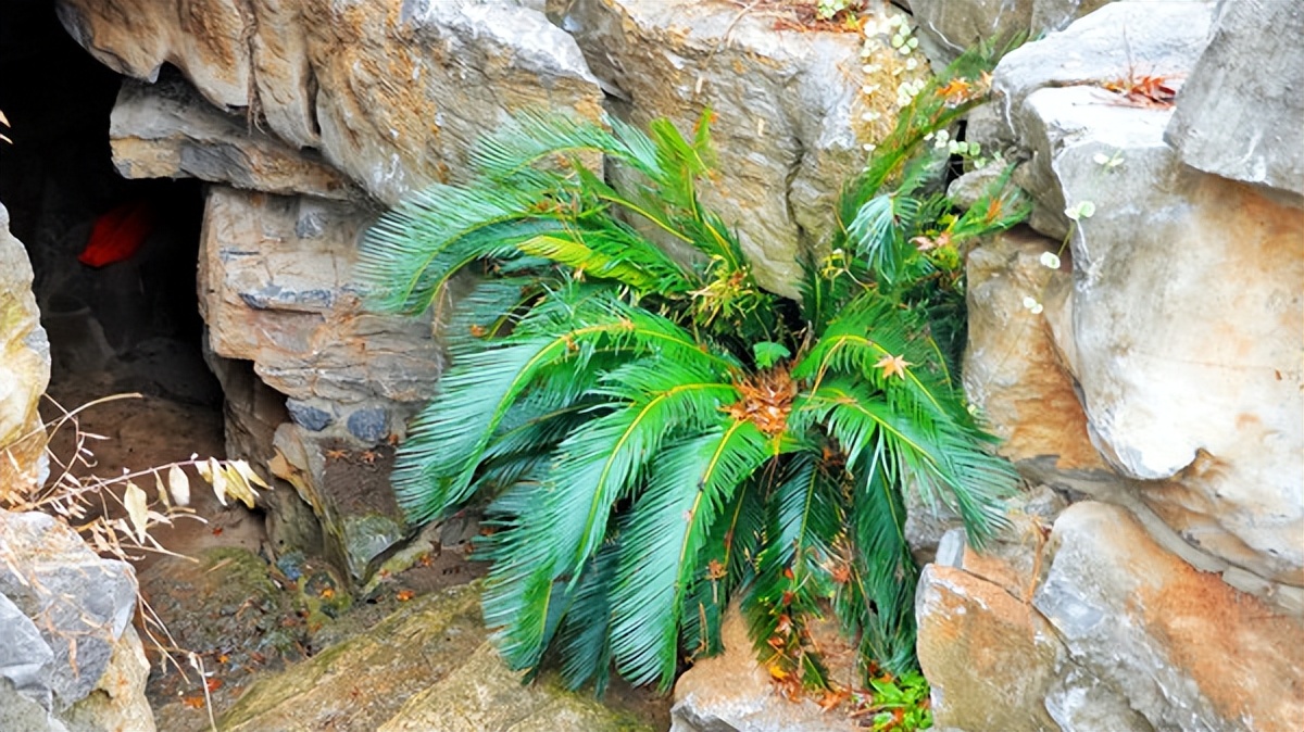 在江苏的“绿林仙海”中，寻找侠气与柔情