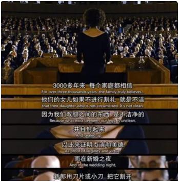 读华莉丝的《沙漠之花》：惨绝人寰的女性割礼