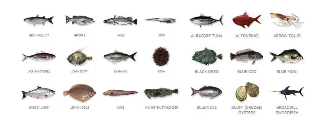 新西兰海鲜一览表,世界海鲜图片