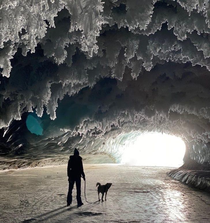 50件来自我们迷人星球的不寻常事物