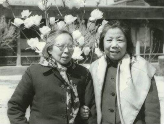 50年听到李克农支持毛岸英去朝鲜，帅孟奇非常着急：他又不会打仗