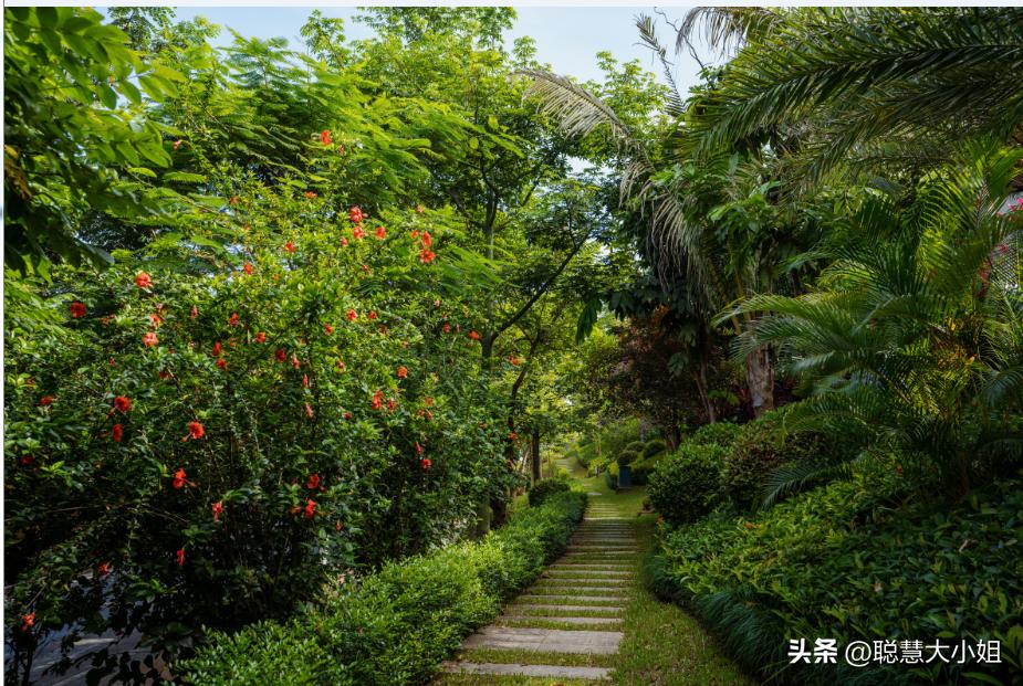 云南西双版纳美食攻略自助,西双版纳美食排行榜前十名