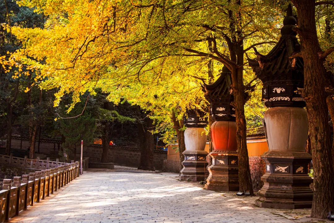 亦正亦邪的人格魅力是好还是坏,亦正亦邪人格魅力