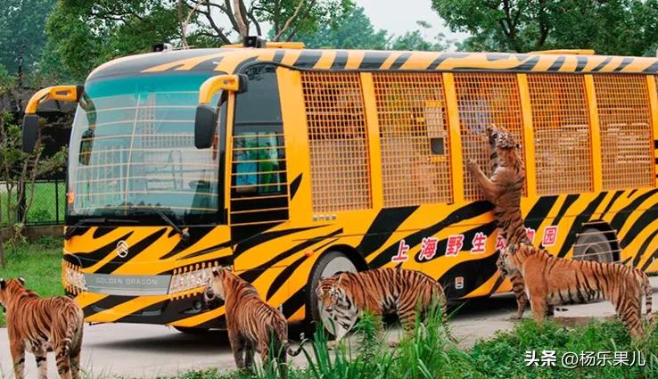 上海浦东新区北蔡镇,上海浦东新区八佰伴附近的酒店