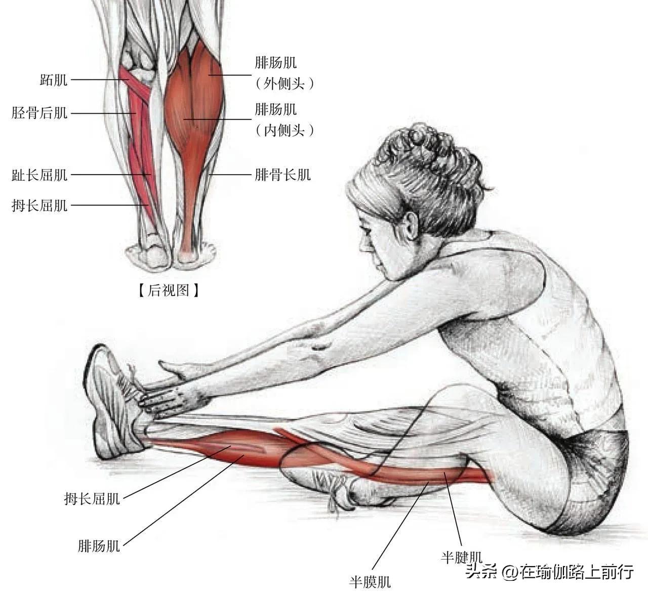 拉伸小腿肌肉神器,拉伸小腿肌肉