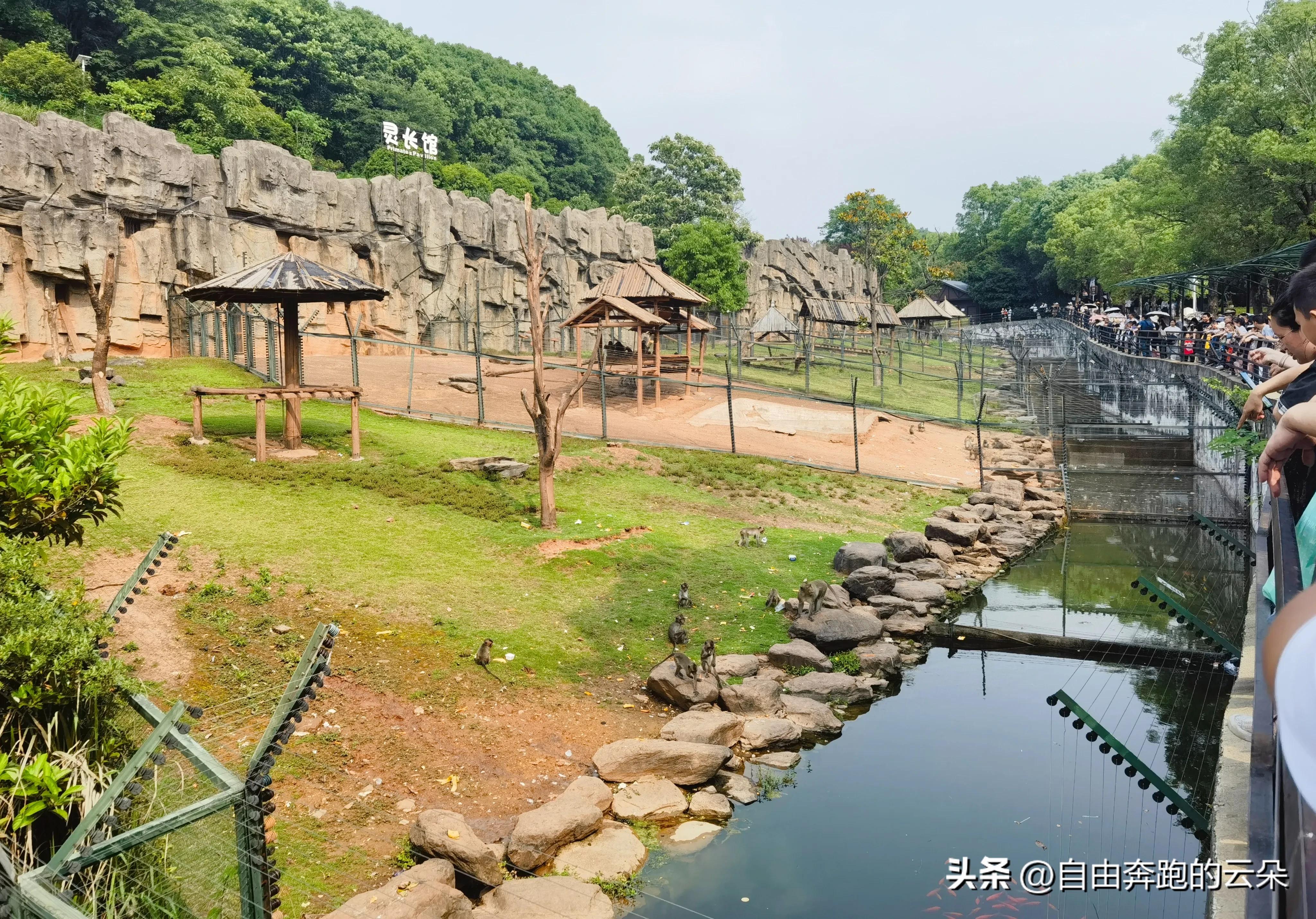 长沙生态动物园门票小孩免费吗,长沙生态动物园门票多少钱一个人