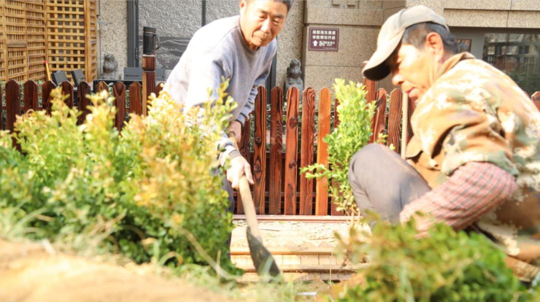 迭新什么意思,迭新是什么意思