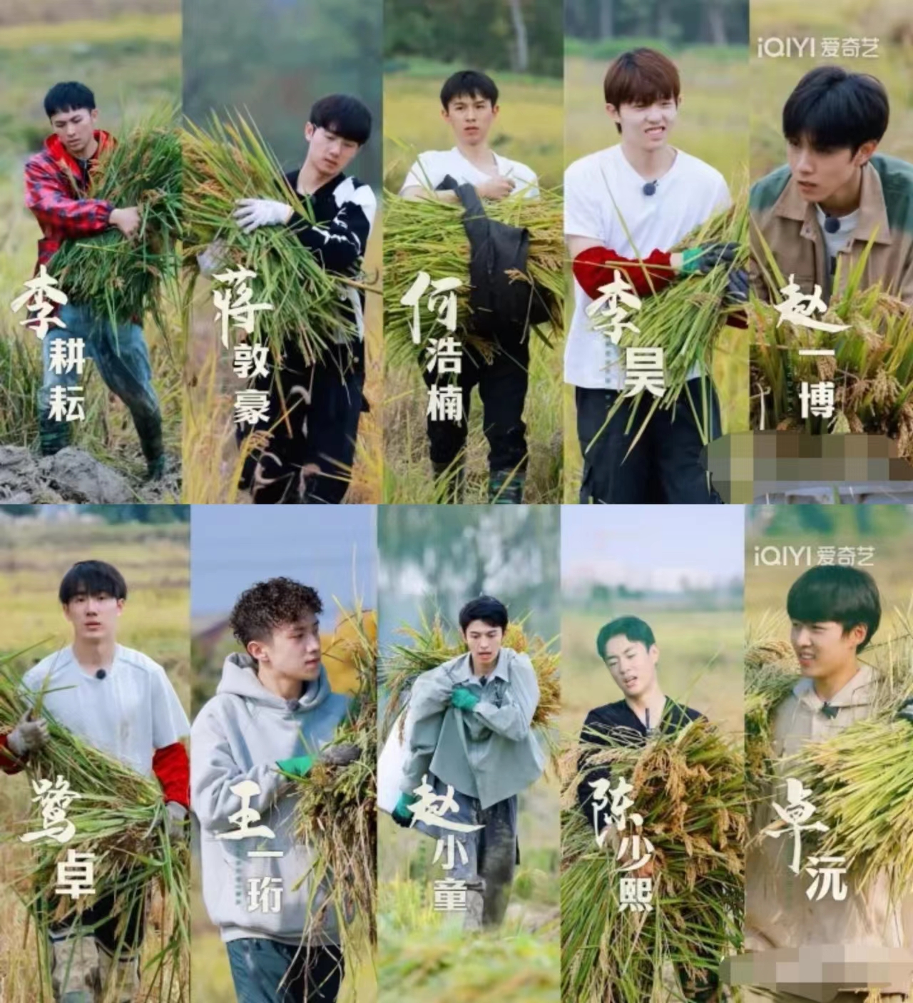 种地吧网友评价,种地吧观众评价