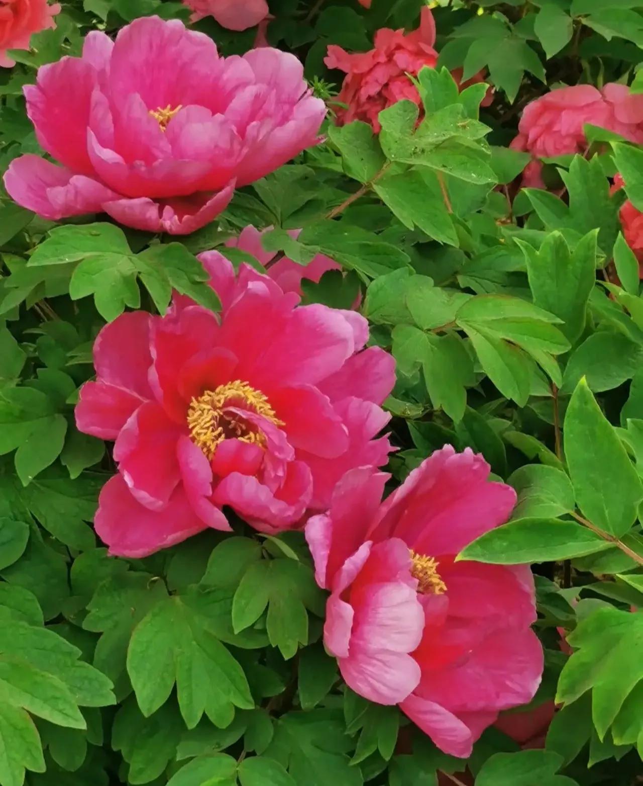 每日一句经典句子简短励志语录,励志语录短句不超过10个字