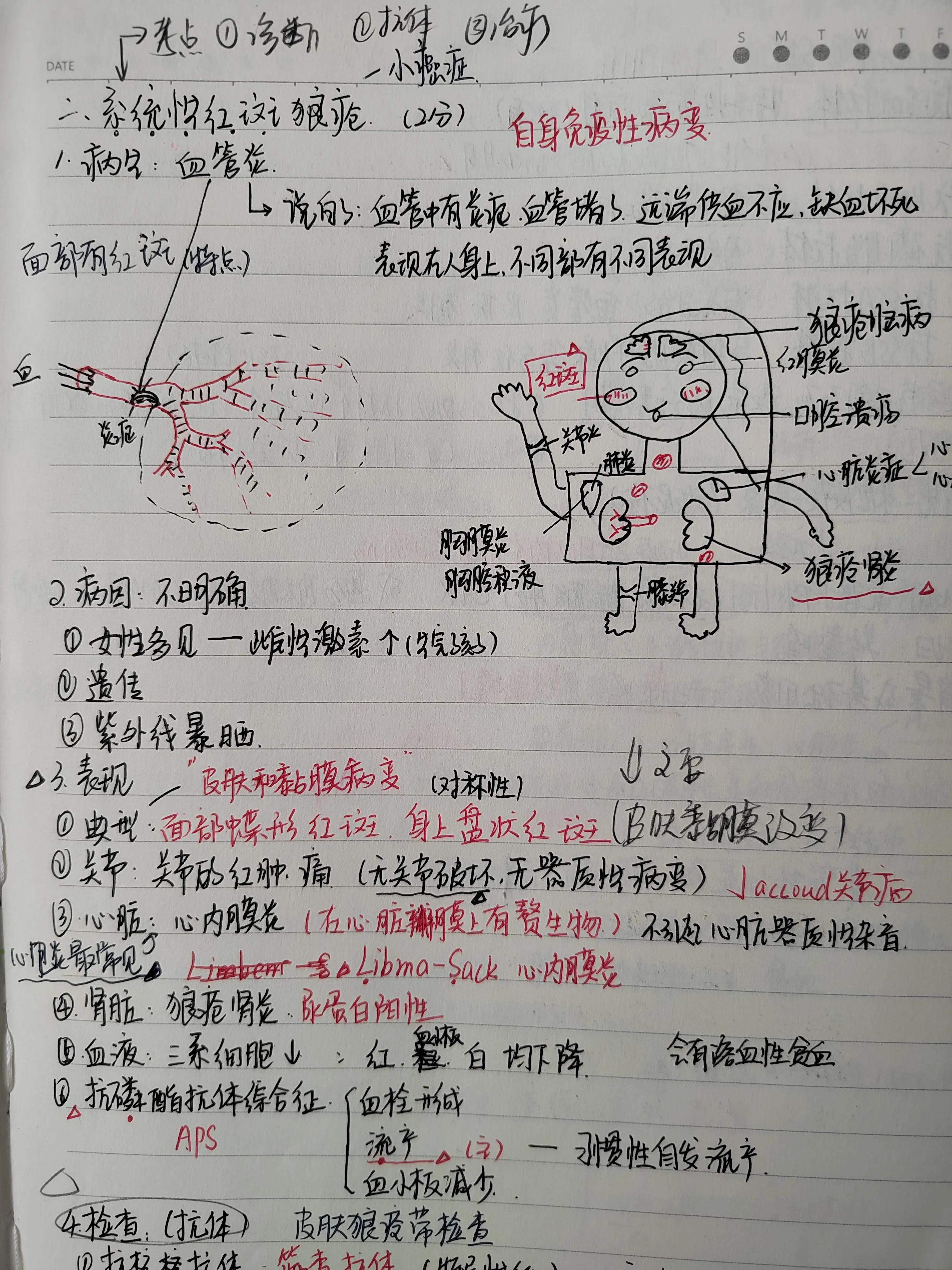 2022年中医执业助理医师考试大纲,2022年助理医师报考执业医师条件