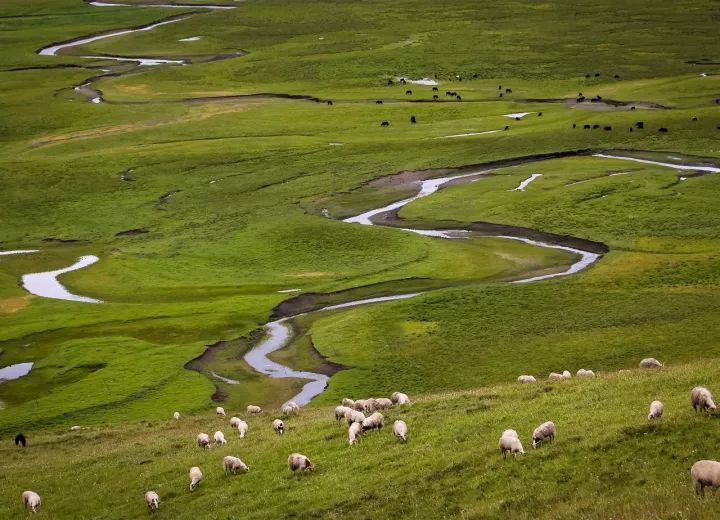 什么是甘肃,什么是甘肃地震