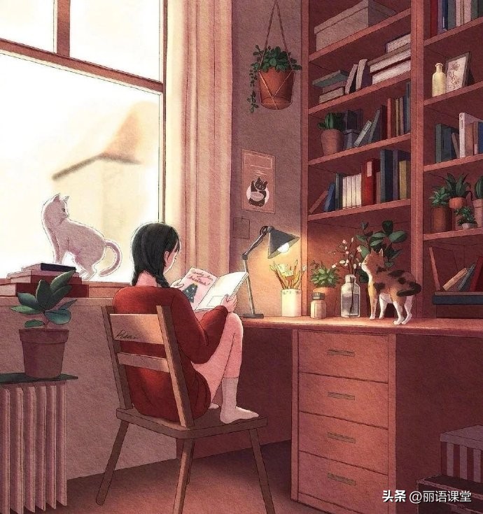 陕西中考满分作文赏析20篇,陕西中考满分作文讲解