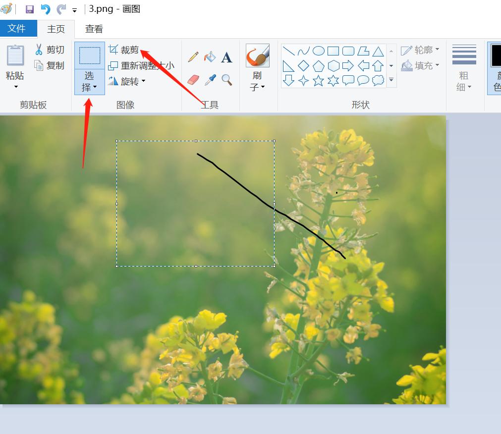 ps截取图片一部分,怎样截取图片的一小部分