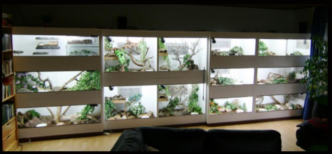 「原来欧洲有这么多种蛇？！」偷师卡塞尔的豢龙大师·下