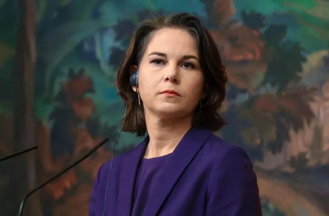 德国遭到决定性失败的事件,德国正在遭受的灾难