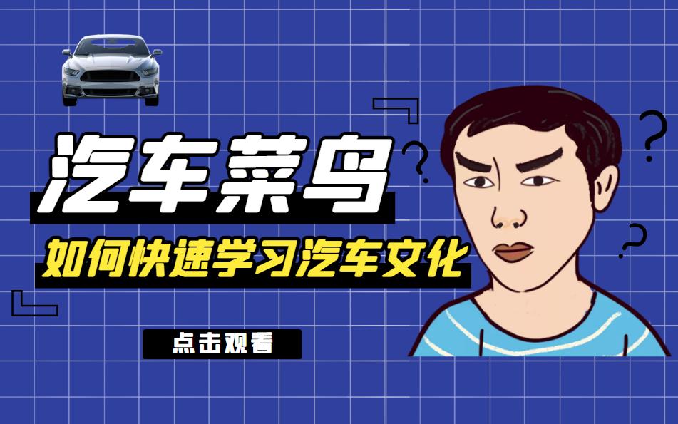 20万元左右口碑最好的车排行榜,20万左右口碑最好的女人开的车