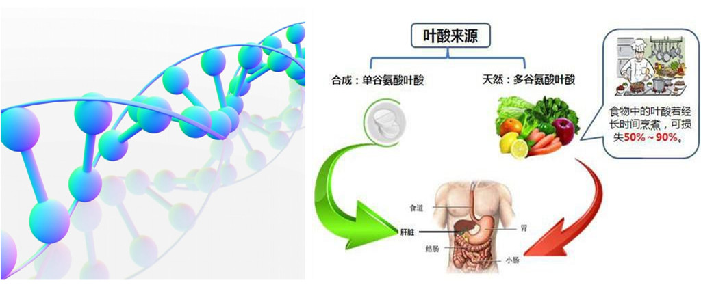 高血压有必要查同型半胱氨酸吗,高血压患者同型半胱氨酸17严重吗