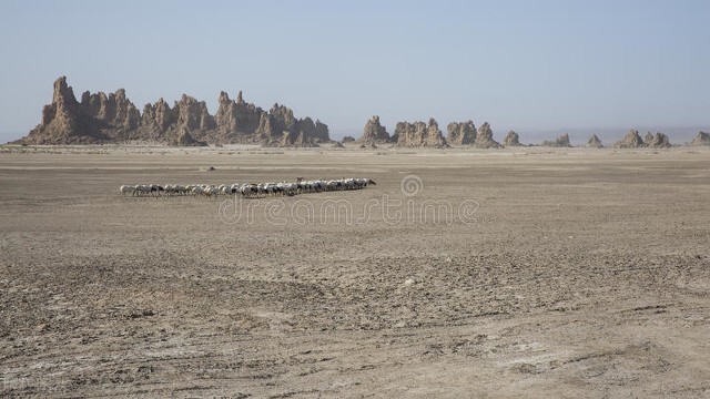 吉布提对比,吉布提基本情况