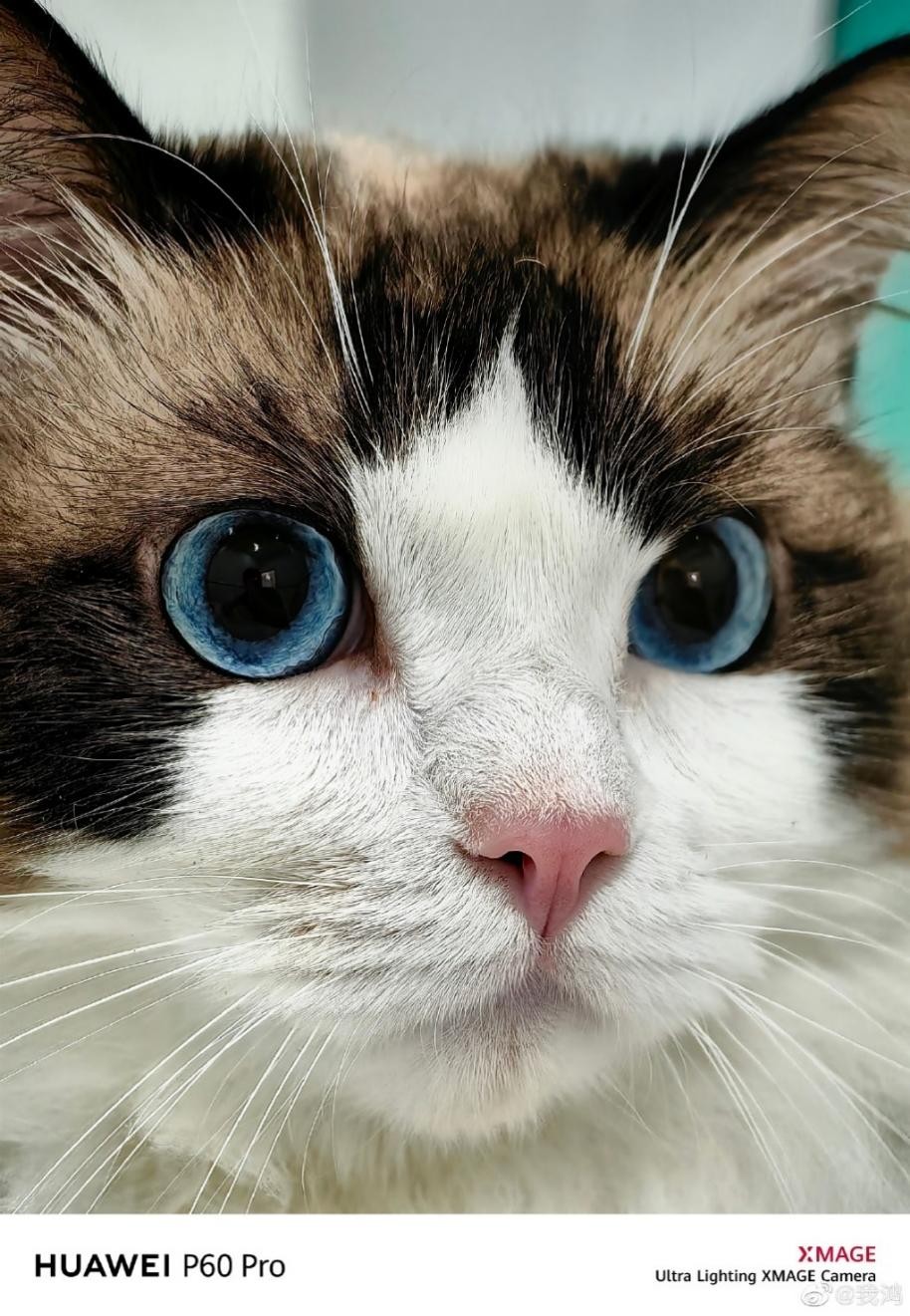 华为p60新款丹霞橙色,即将发布的华为p60值得买吗