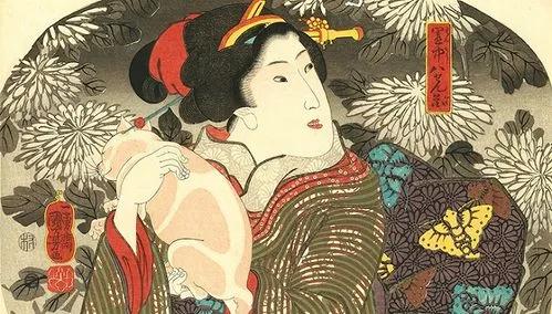 日本的幕府政治制度模式,日本幕府统治危机原因