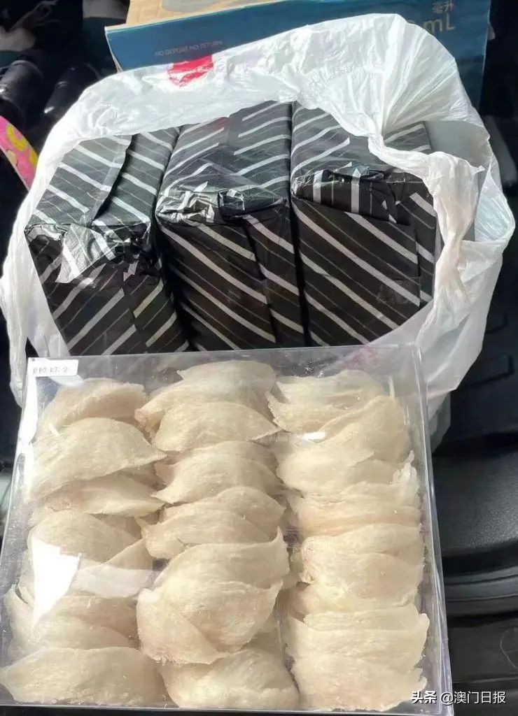 海关新预检管理系统,海关新系统的操作方法