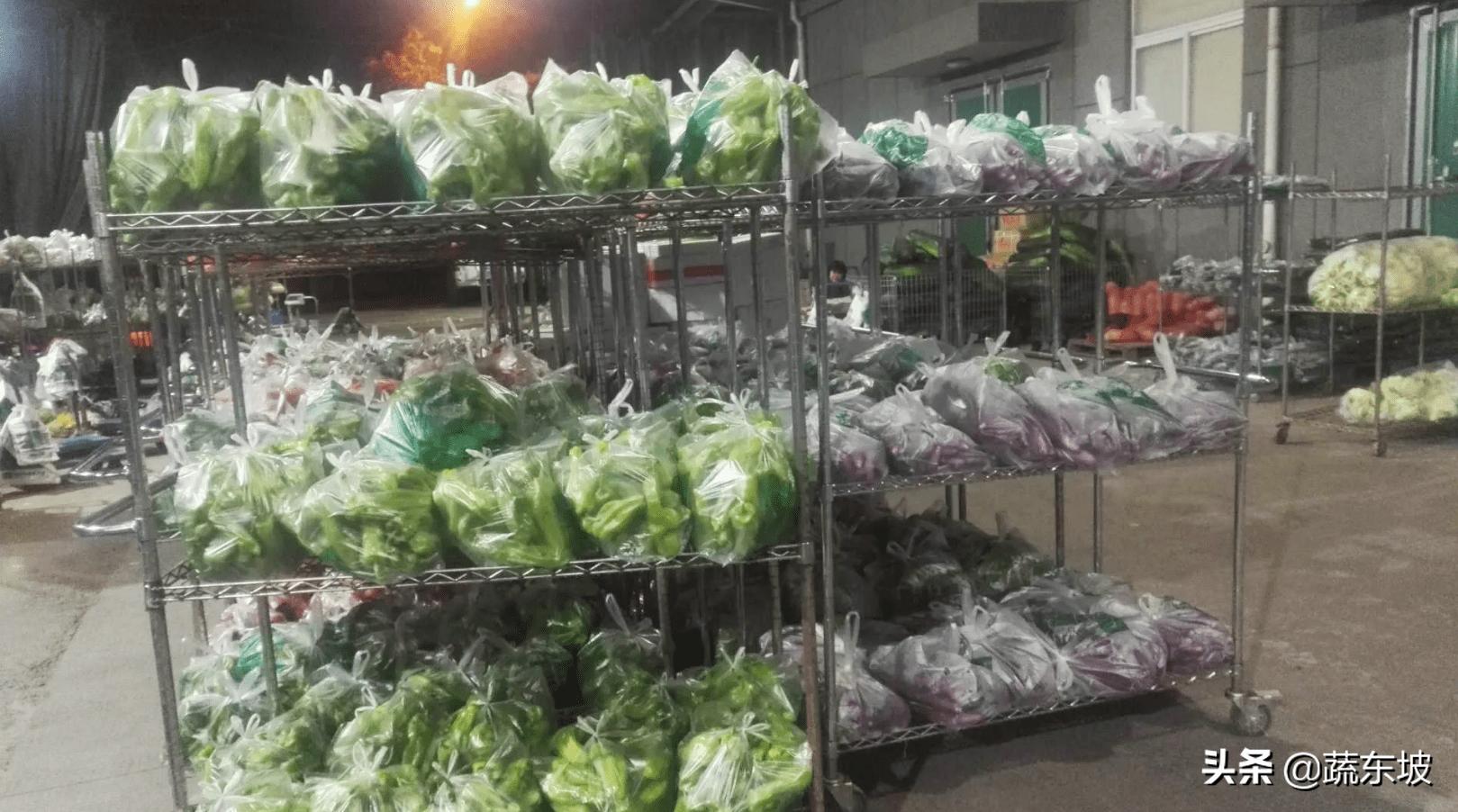 蔬东坡生鲜系统怎么样,如何注册蔬东坡