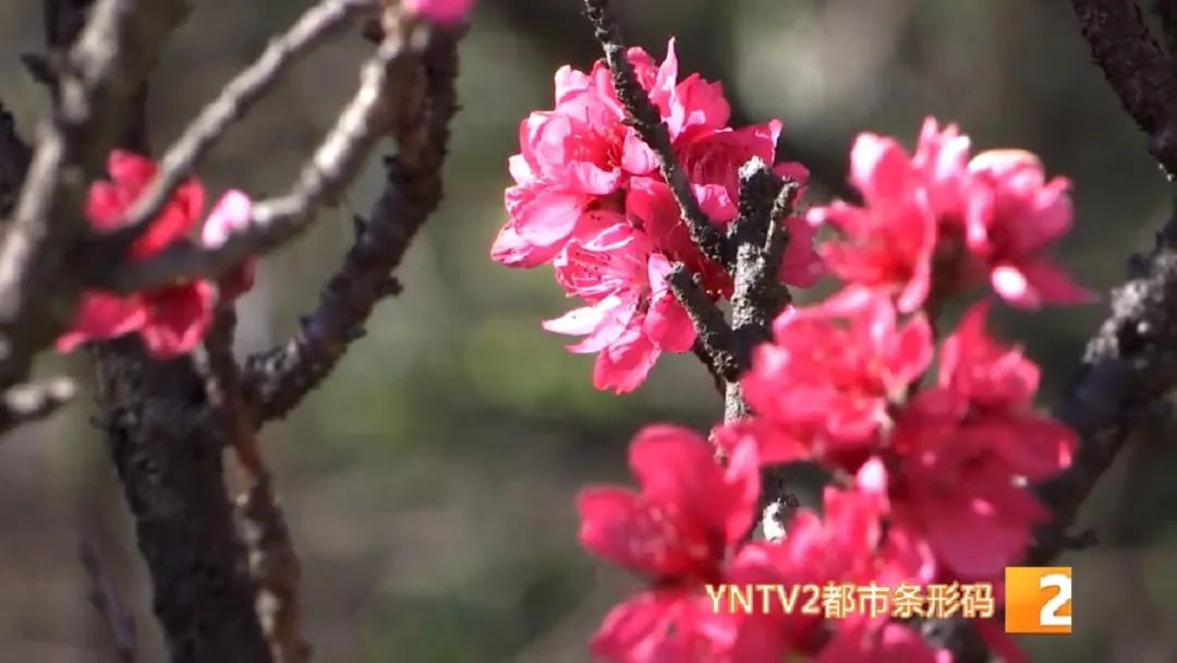 冷空气大风天过敏怎么预防,夏天紫外线过敏冬天冷空气过敏